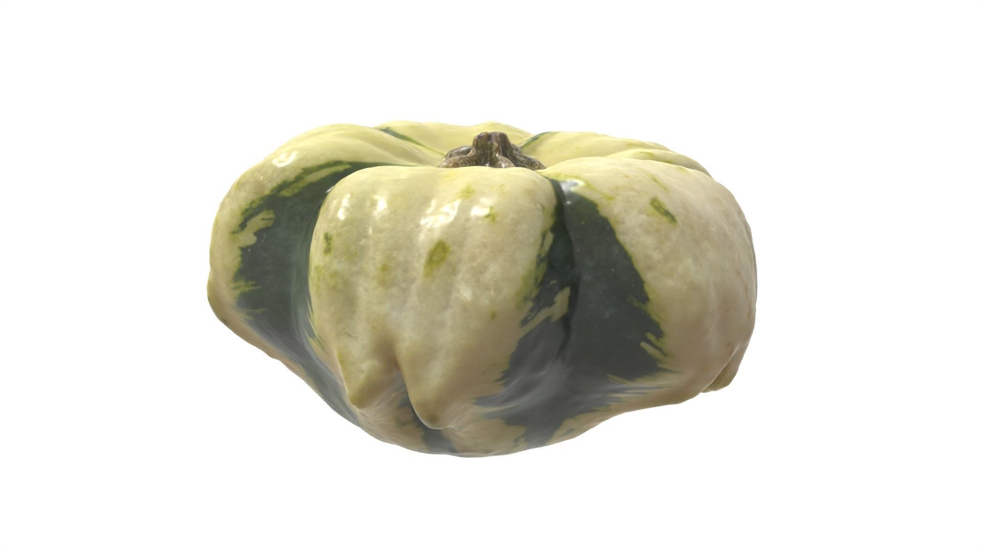 Decorative Gourd Pumpkin Squash Flower 3D Scan 3D model_16