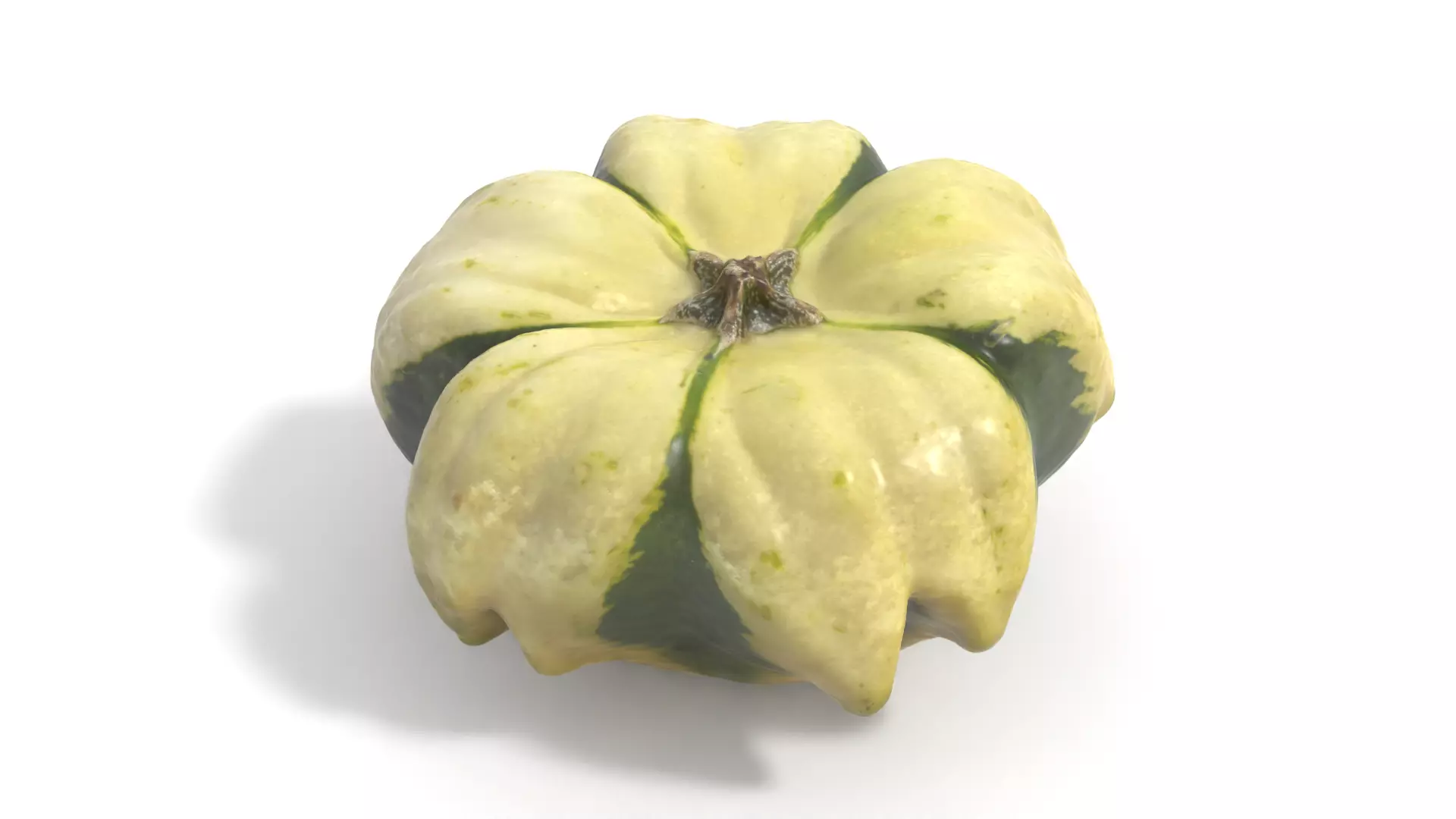 Decorative Gourd Pumpkin Squash Flower 3D Scan 3D model_0