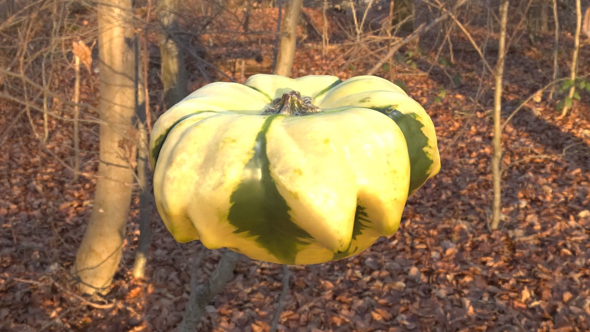 Decorative Gourd Pumpkin Squash Flower 3D Scan 3D model_27