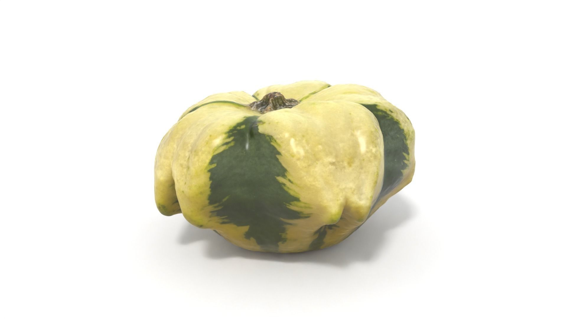 Decorative Gourd Pumpkin Squash Flower 3D Scan 3D model_8