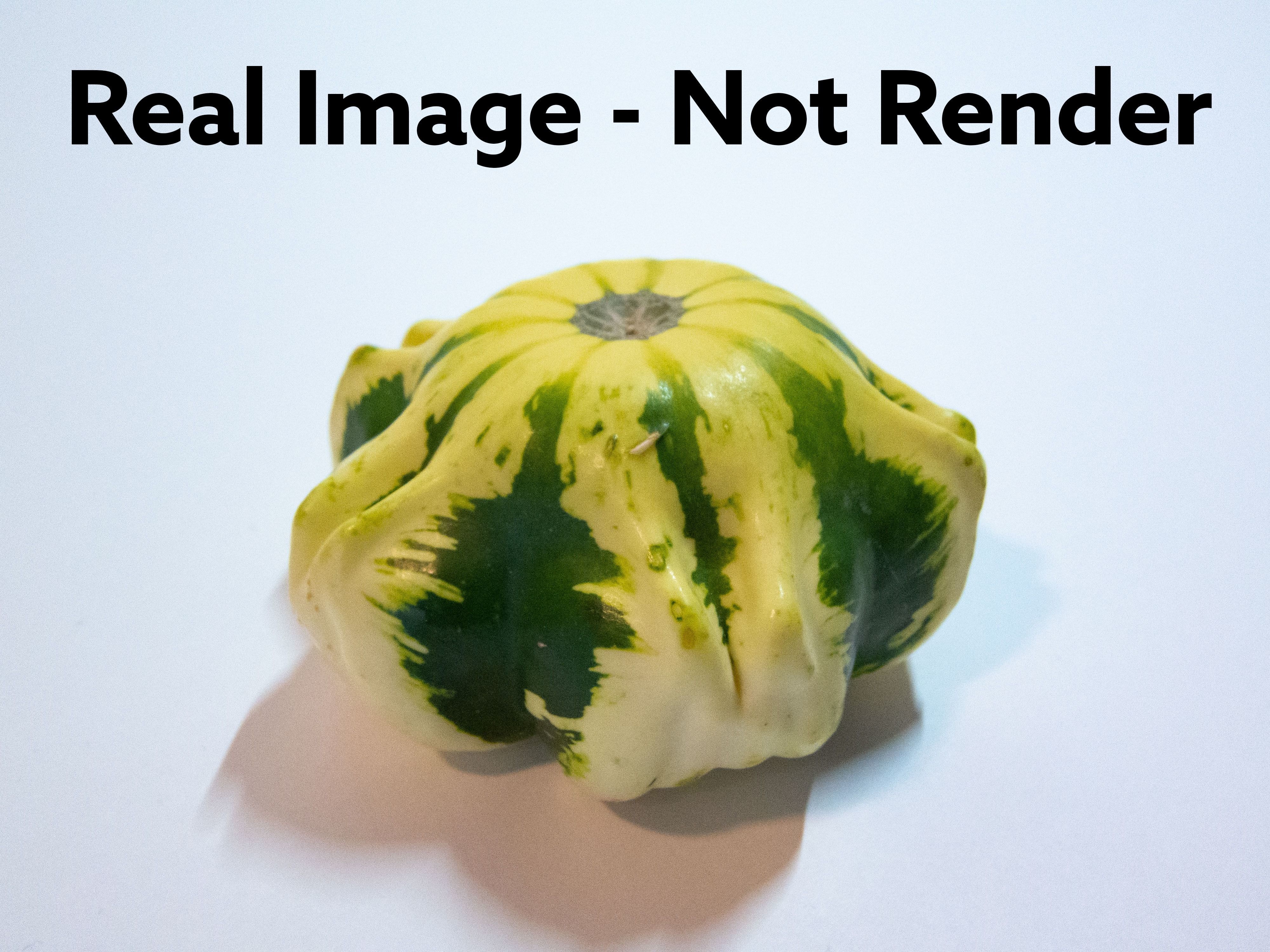 Decorative Gourd Pumpkin Squash Flower 3D Scan 3D model_31