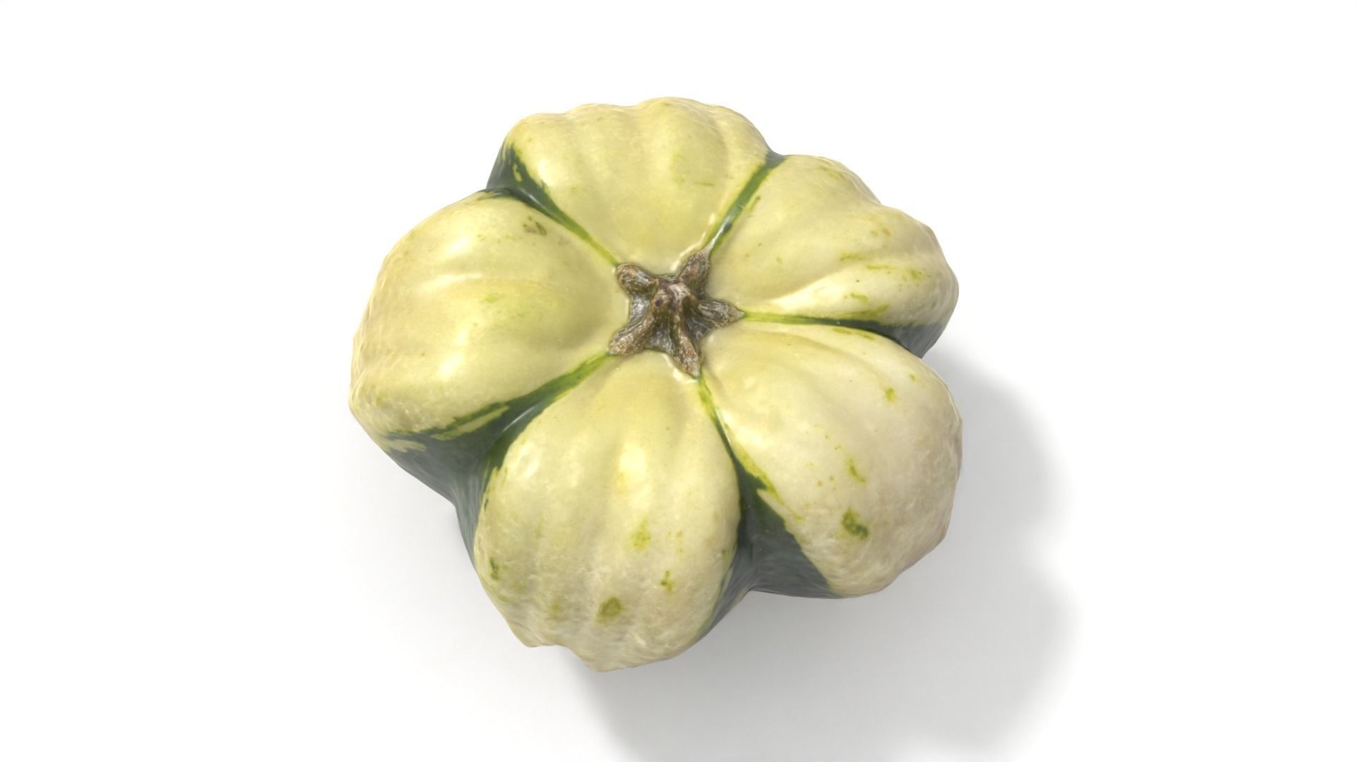 Decorative Gourd Pumpkin Squash Flower 3D Scan 3D model_6