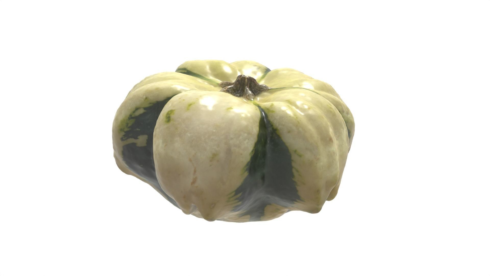 Decorative Gourd Pumpkin Squash Flower 3D Scan 3D model_17