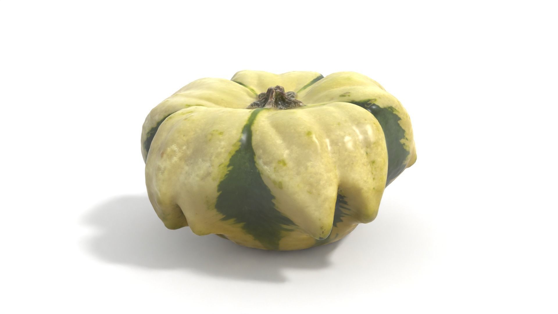 Decorative Gourd Pumpkin Squash Flower 3D Scan 3D model_7