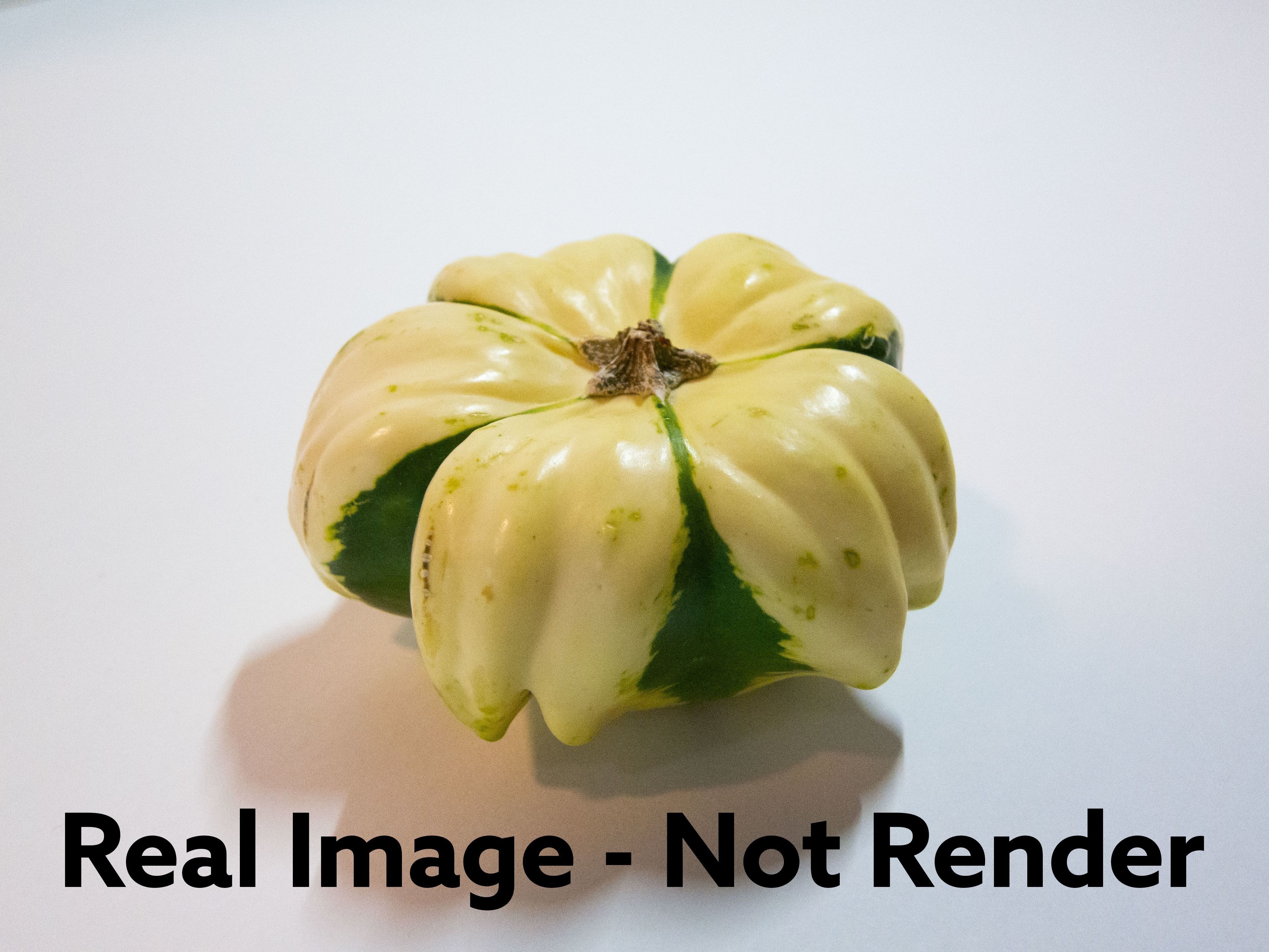 Decorative Gourd Pumpkin Squash Flower 3D Scan 3D model_30