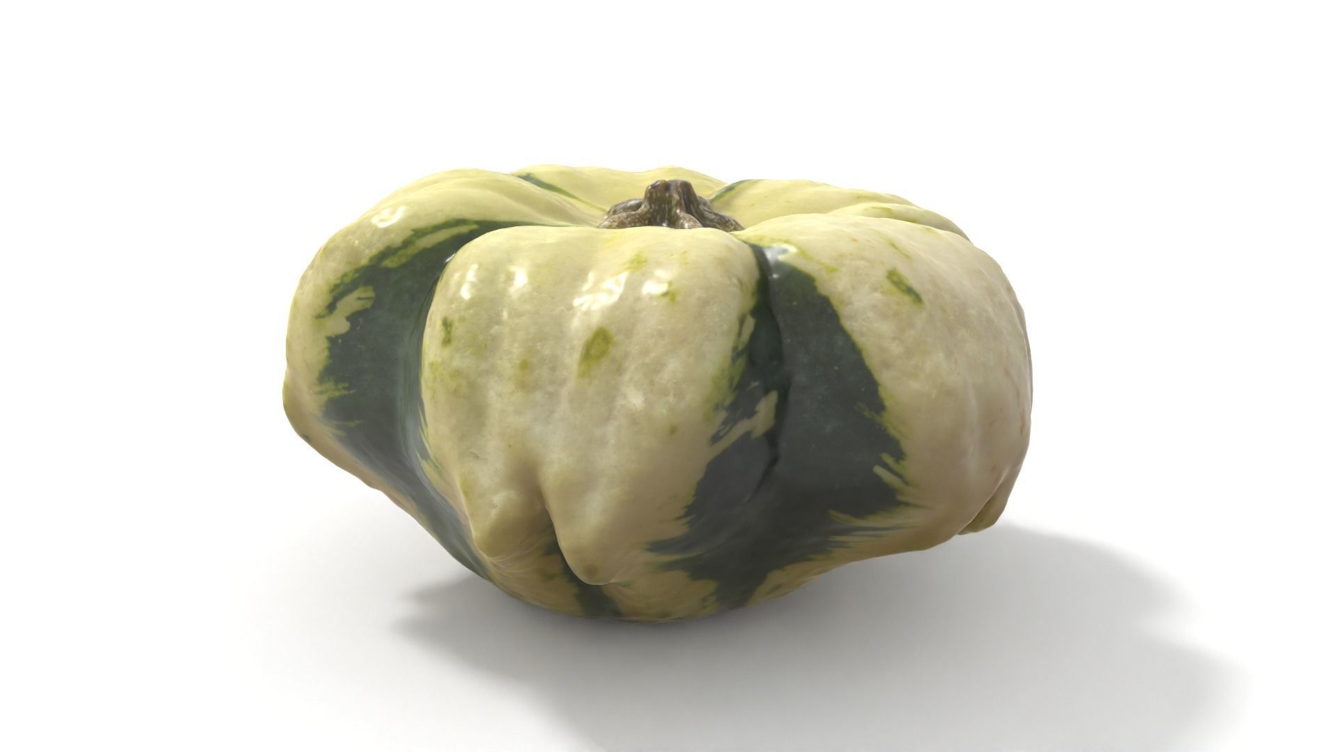 Decorative Gourd Pumpkin Squash Flower 3D Scan 3D model_4