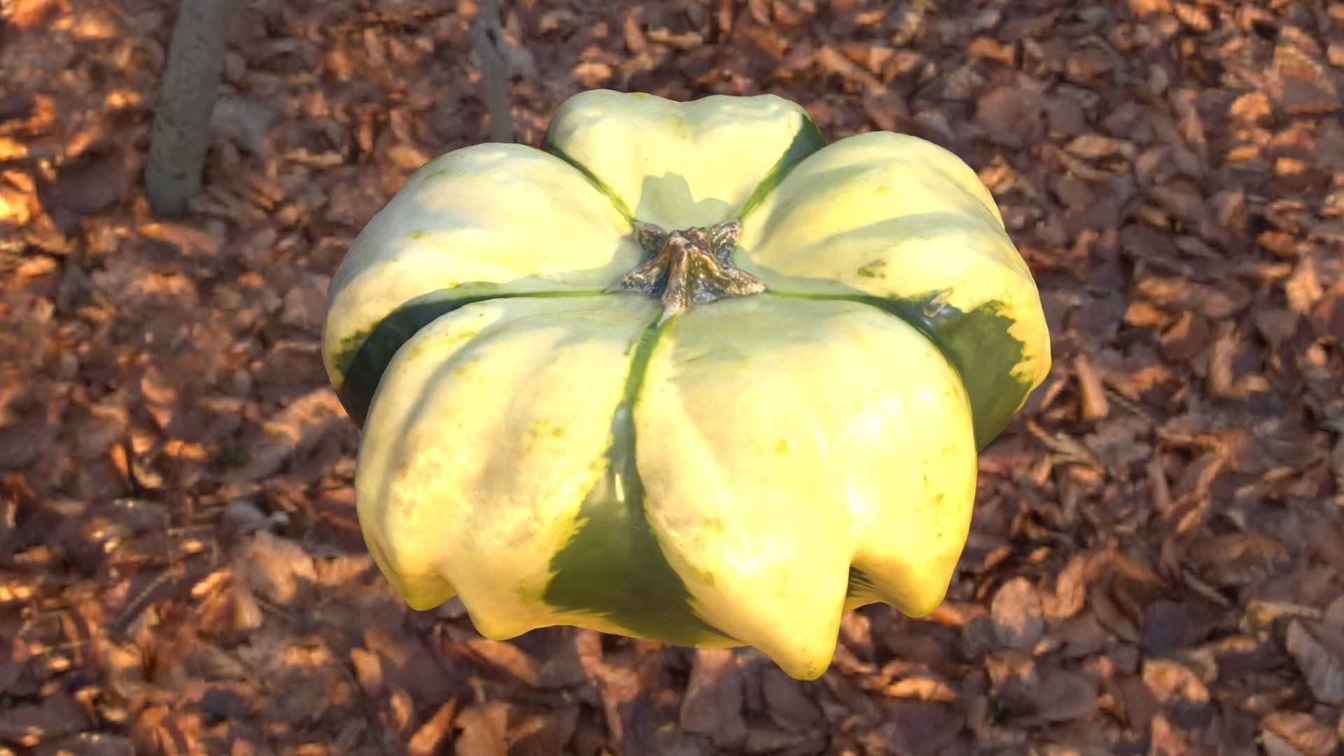 Decorative Gourd Pumpkin Squash Flower 3D Scan 3D model_26
