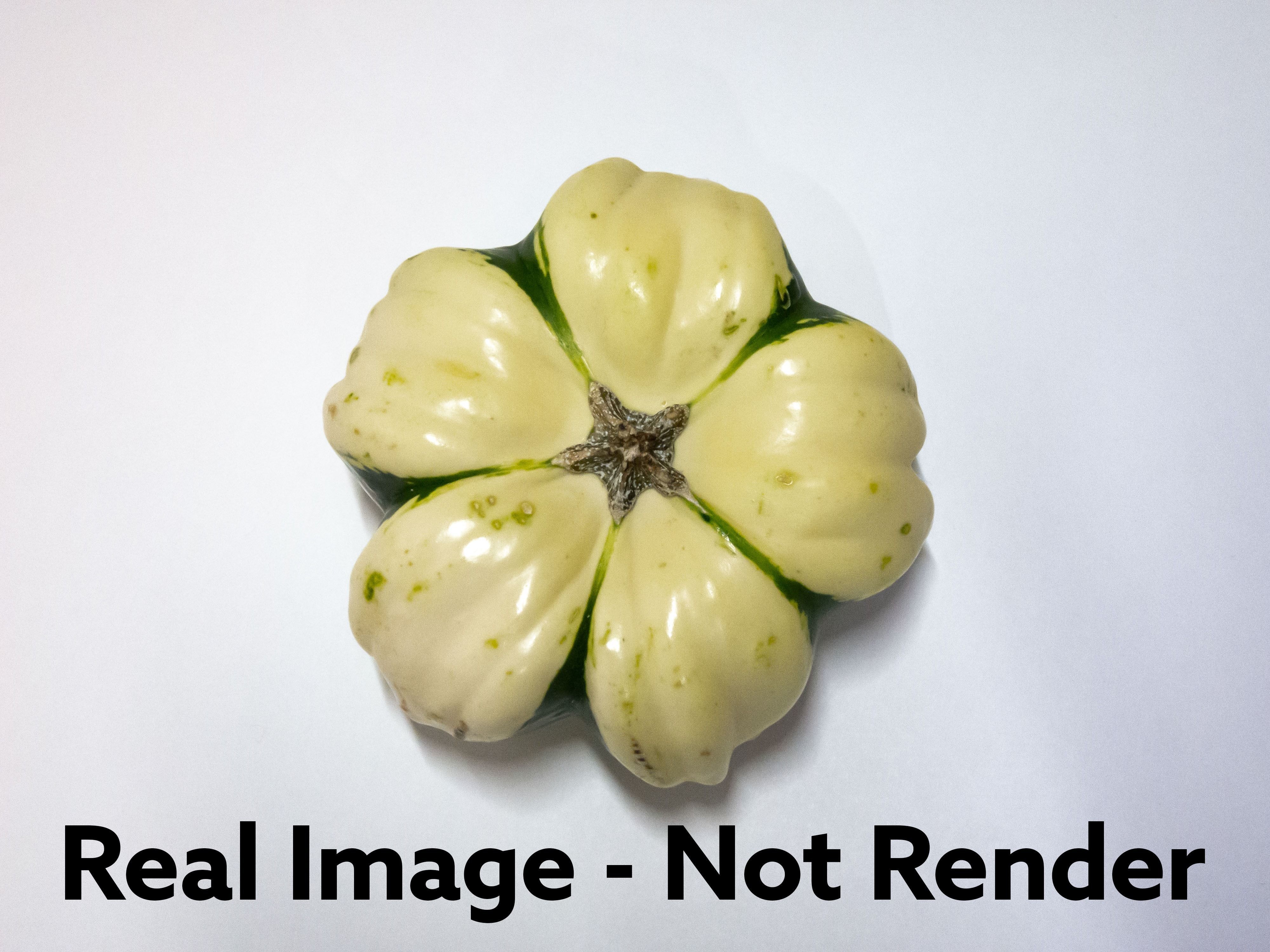 Decorative Gourd Pumpkin Squash Flower 3D Scan 3D model_29