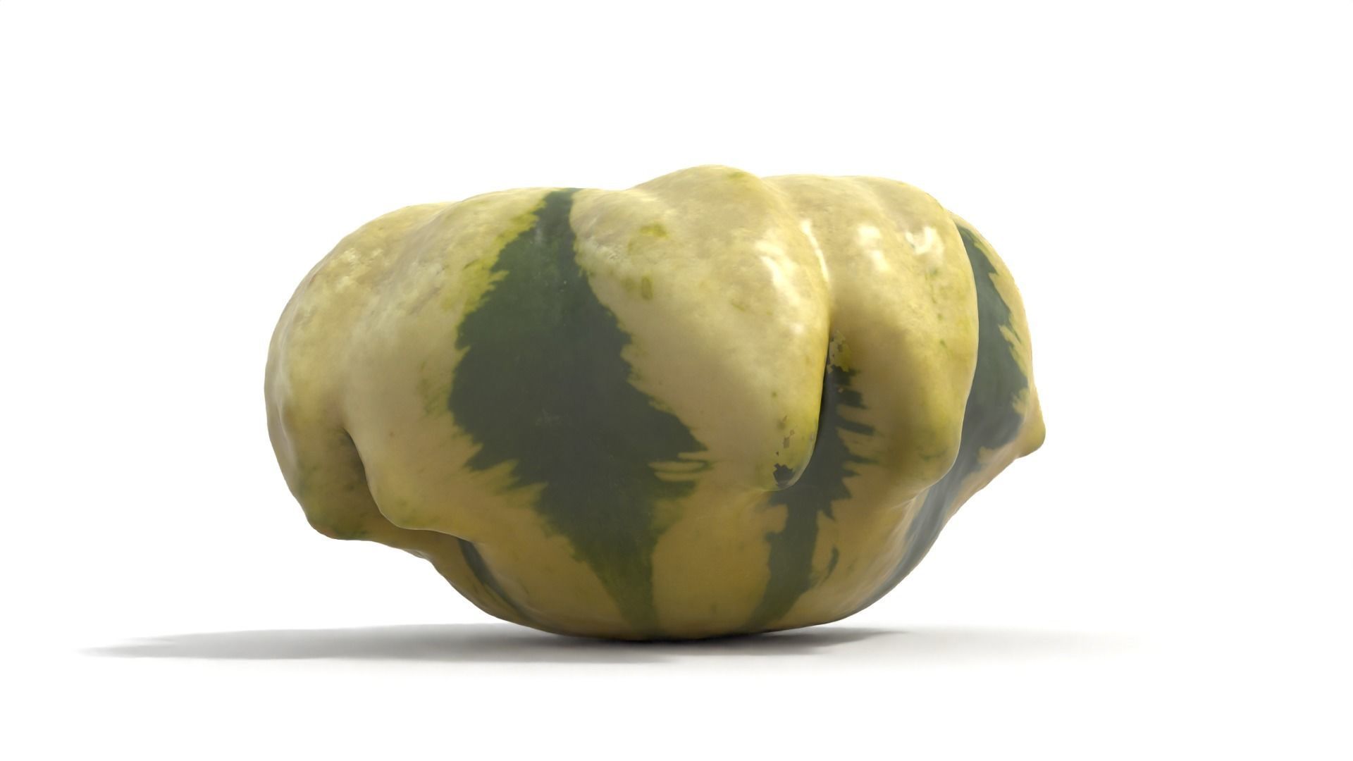 Decorative Gourd Pumpkin Squash Flower 3D Scan 3D model_3