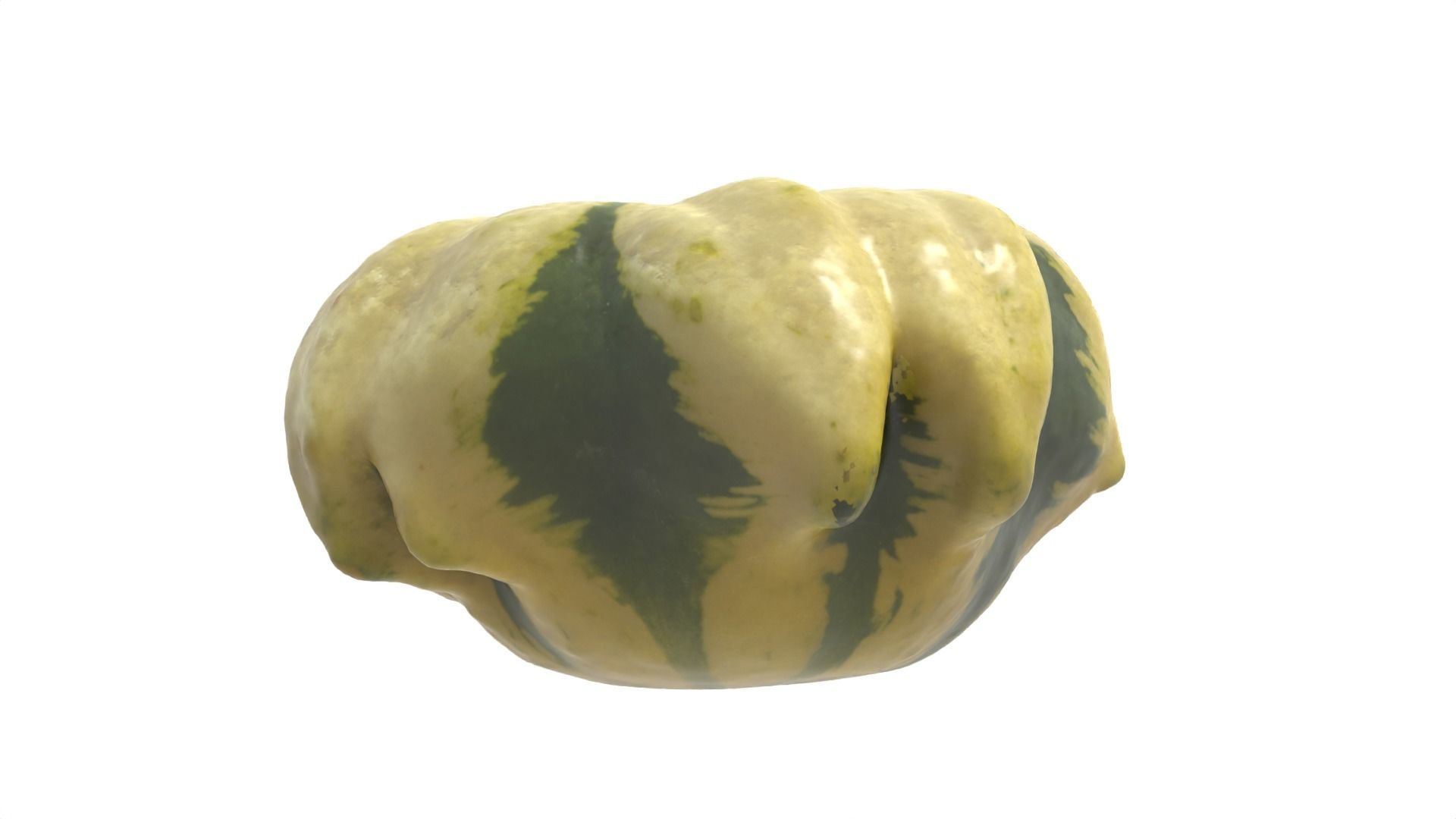 Decorative Gourd Pumpkin Squash Flower 3D Scan 3D model_13