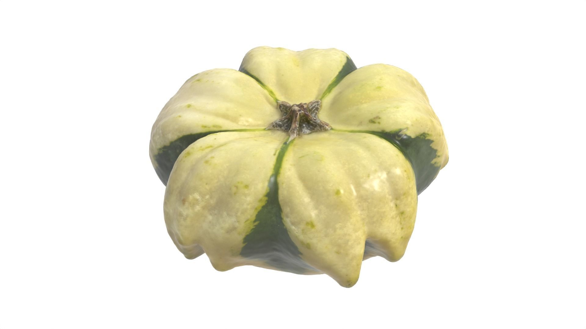 Decorative Gourd Pumpkin Squash Flower 3D Scan 3D model_12