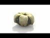 Decorative Gourd Pumpkin Squash Flower 3D Scan 3D model_1
