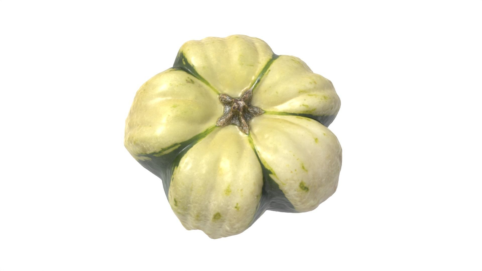 Decorative Gourd Pumpkin Squash Flower 3D Scan 3D model_15