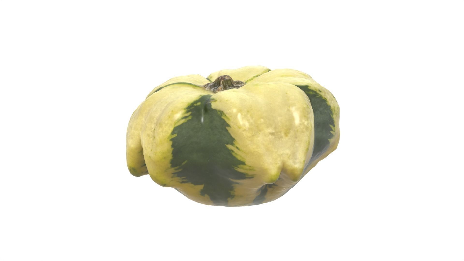 Decorative Gourd Pumpkin Squash Flower 3D Scan 3D model_10