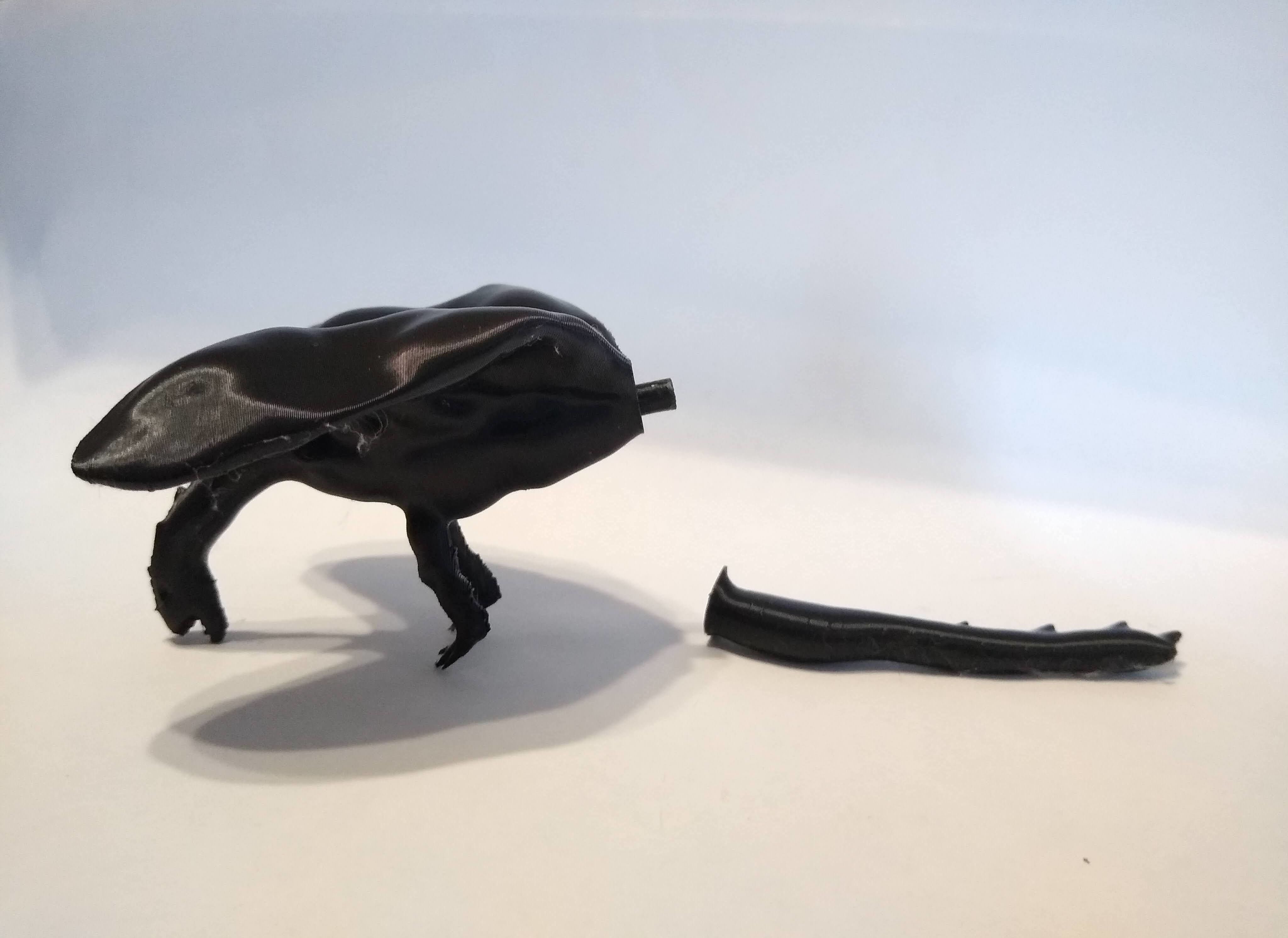 Sculpted Dragon Free 3D model_7