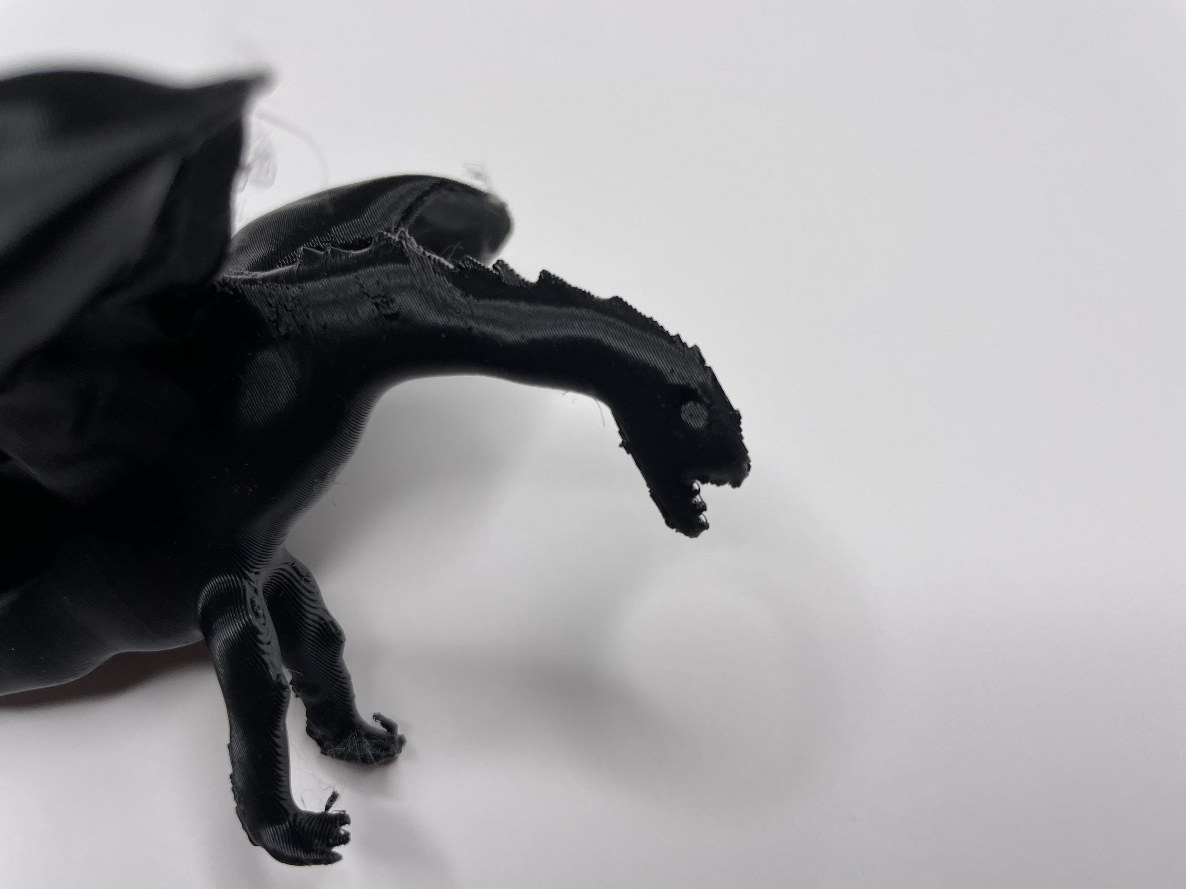 Sculpted Dragon Free 3D model_2