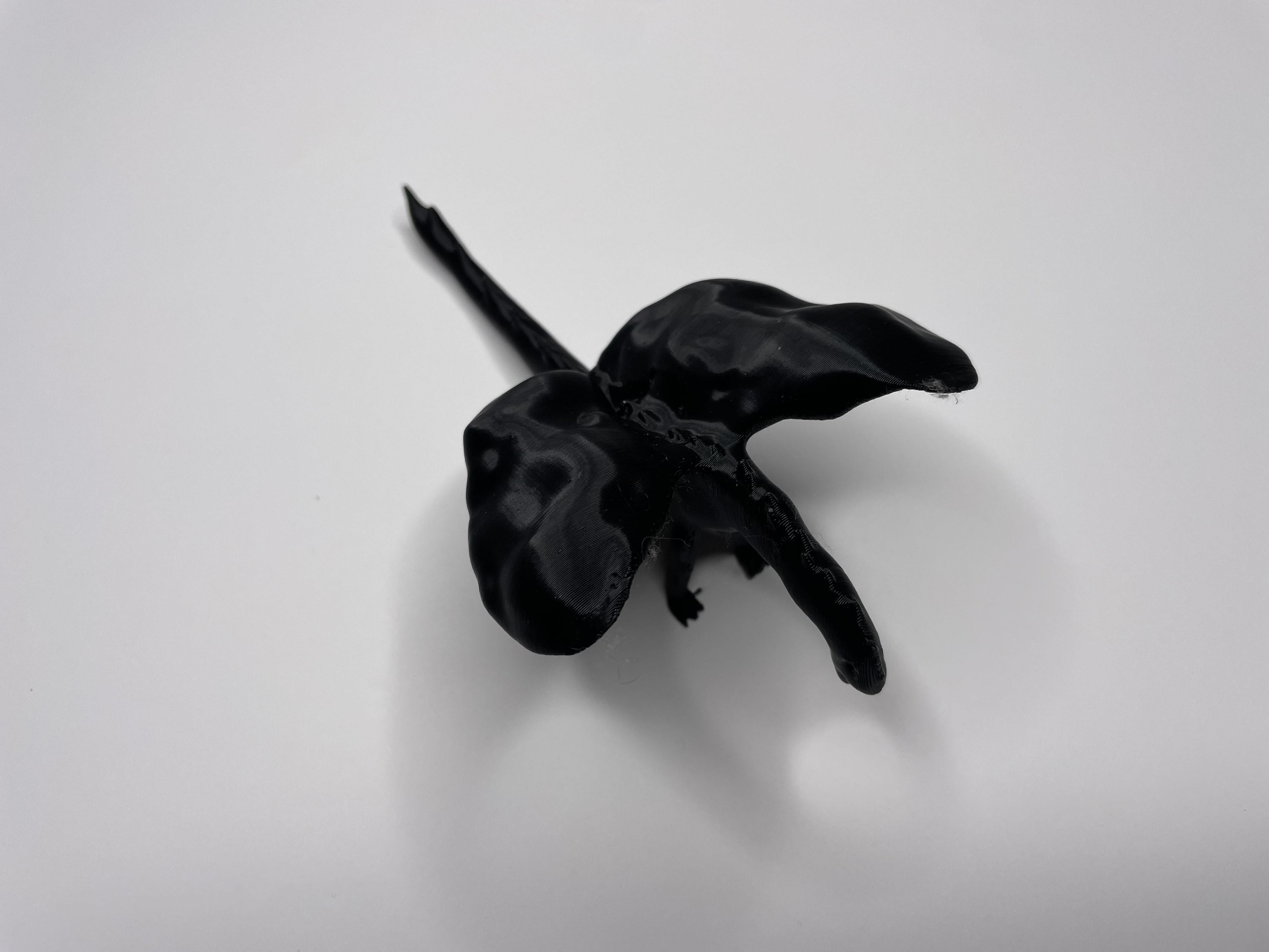 Sculpted Dragon Free 3D model_3