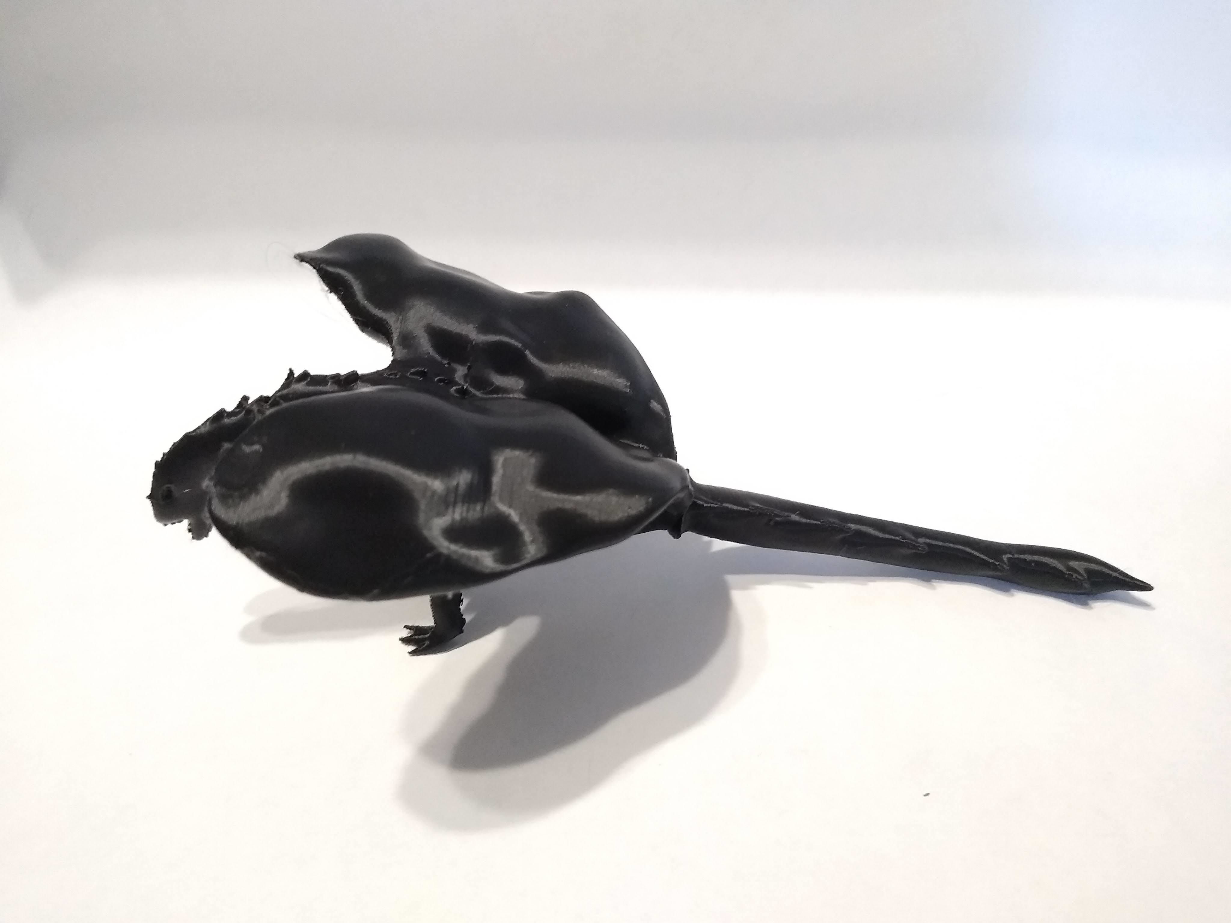 Sculpted Dragon Free 3D model_9