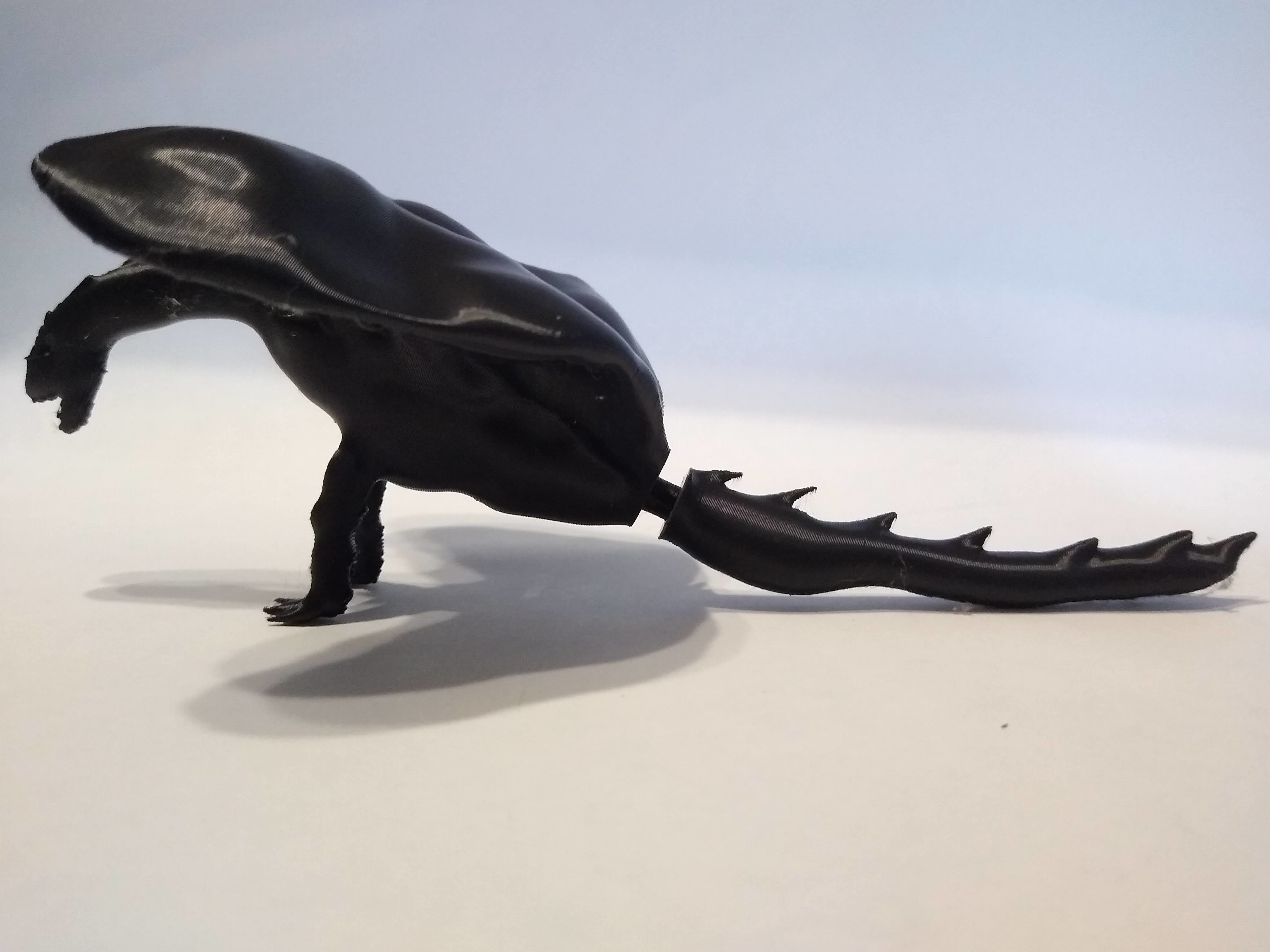 Sculpted Dragon Free 3D model_8