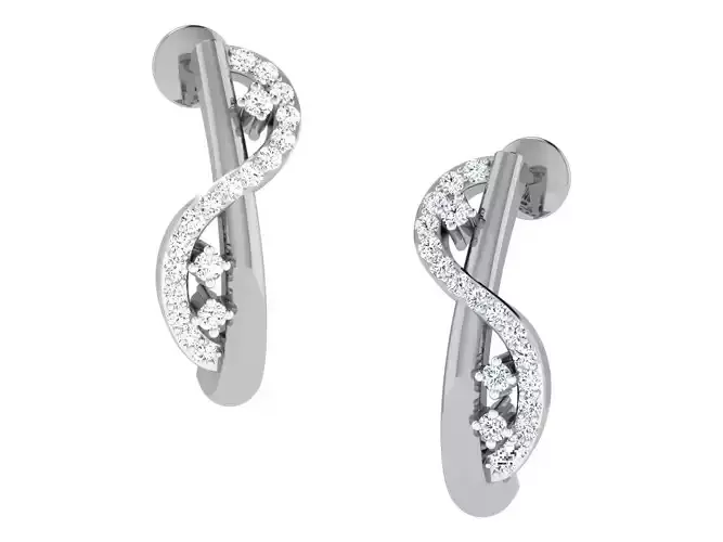 Earrings - 48