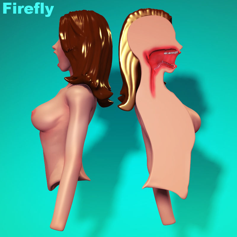 Woman Inside 2 for Poser or Daz 3D model_1