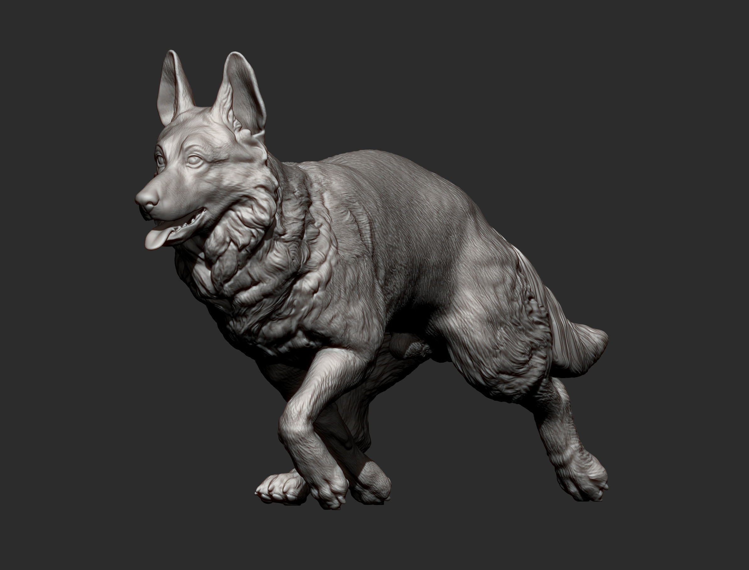 German Shepherd 3D print model_9