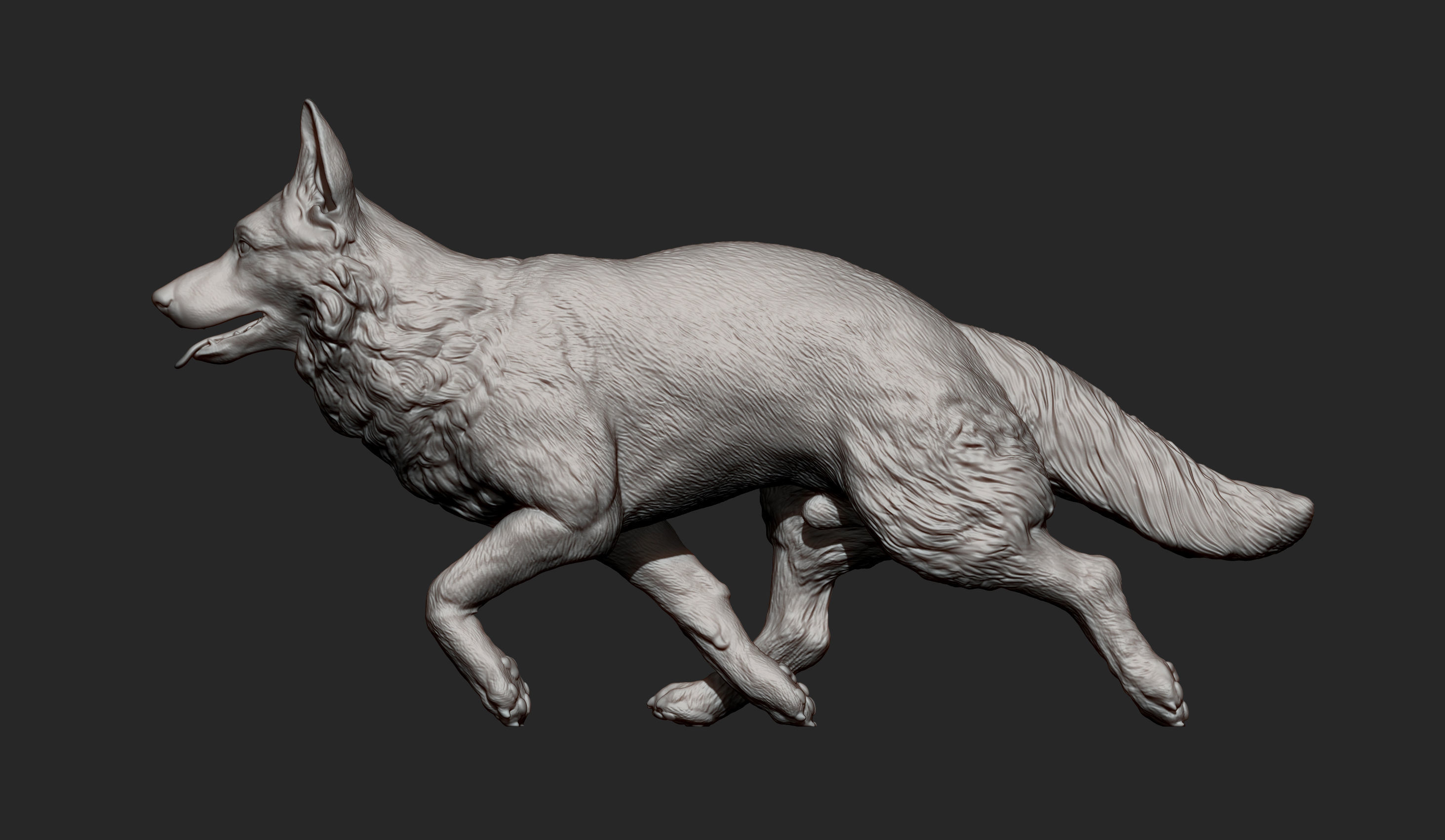 German Shepherd 3D print model_10