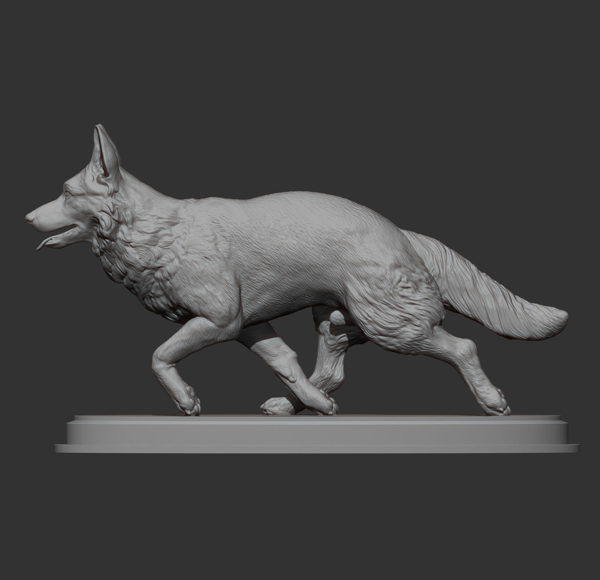 German Shepherd 3D print model_15