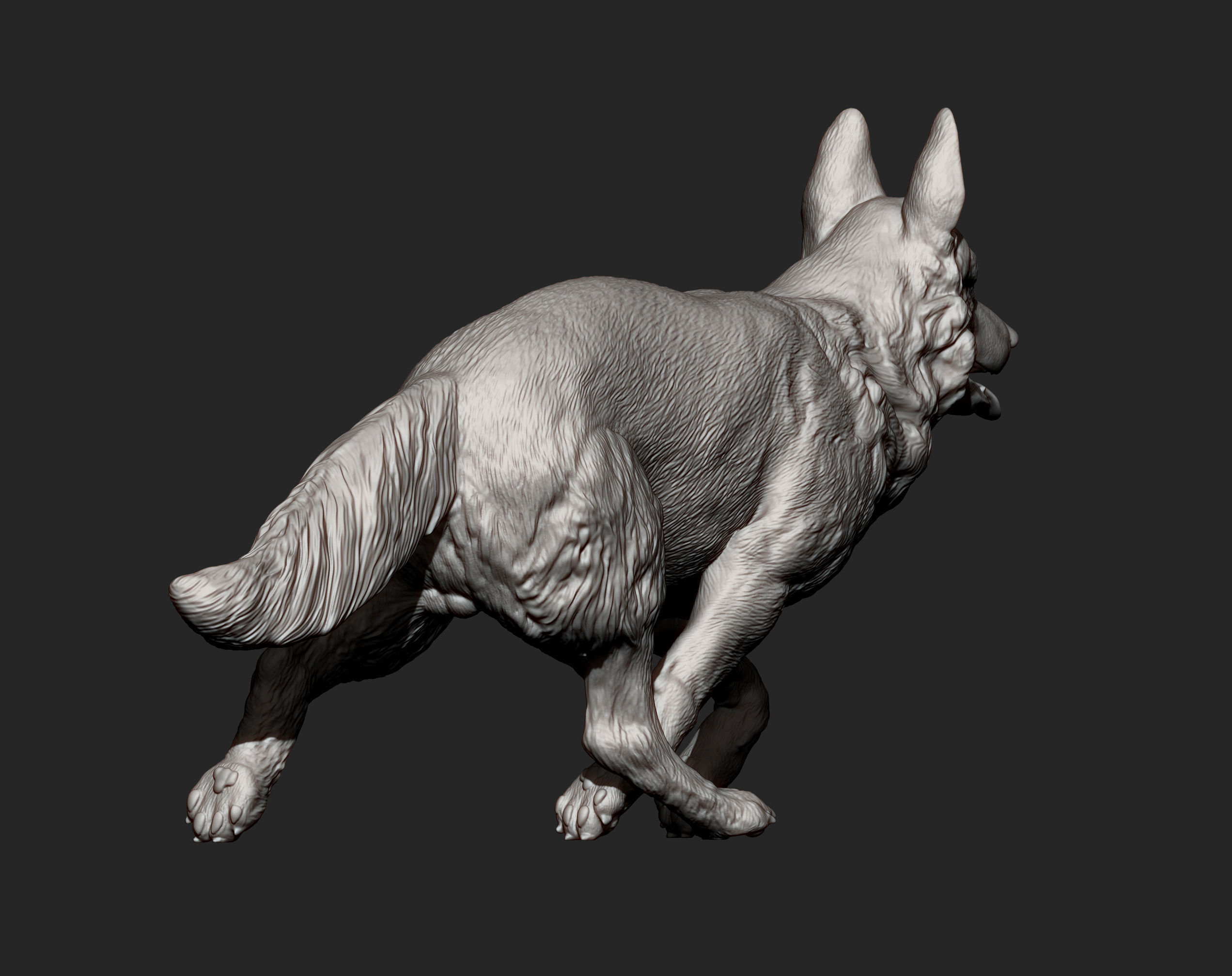 German Shepherd 3D print model_11