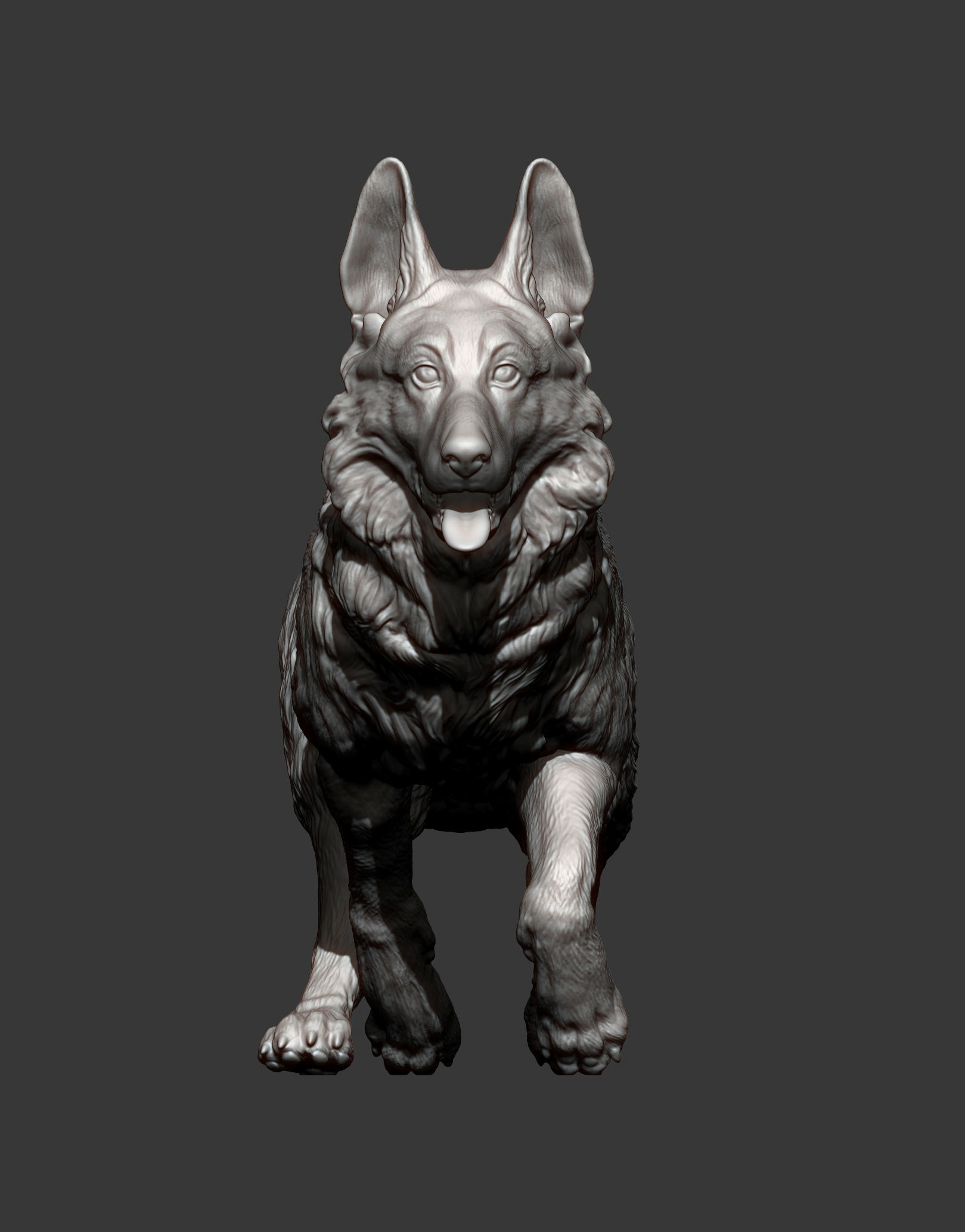 German Shepherd 3D print model_12