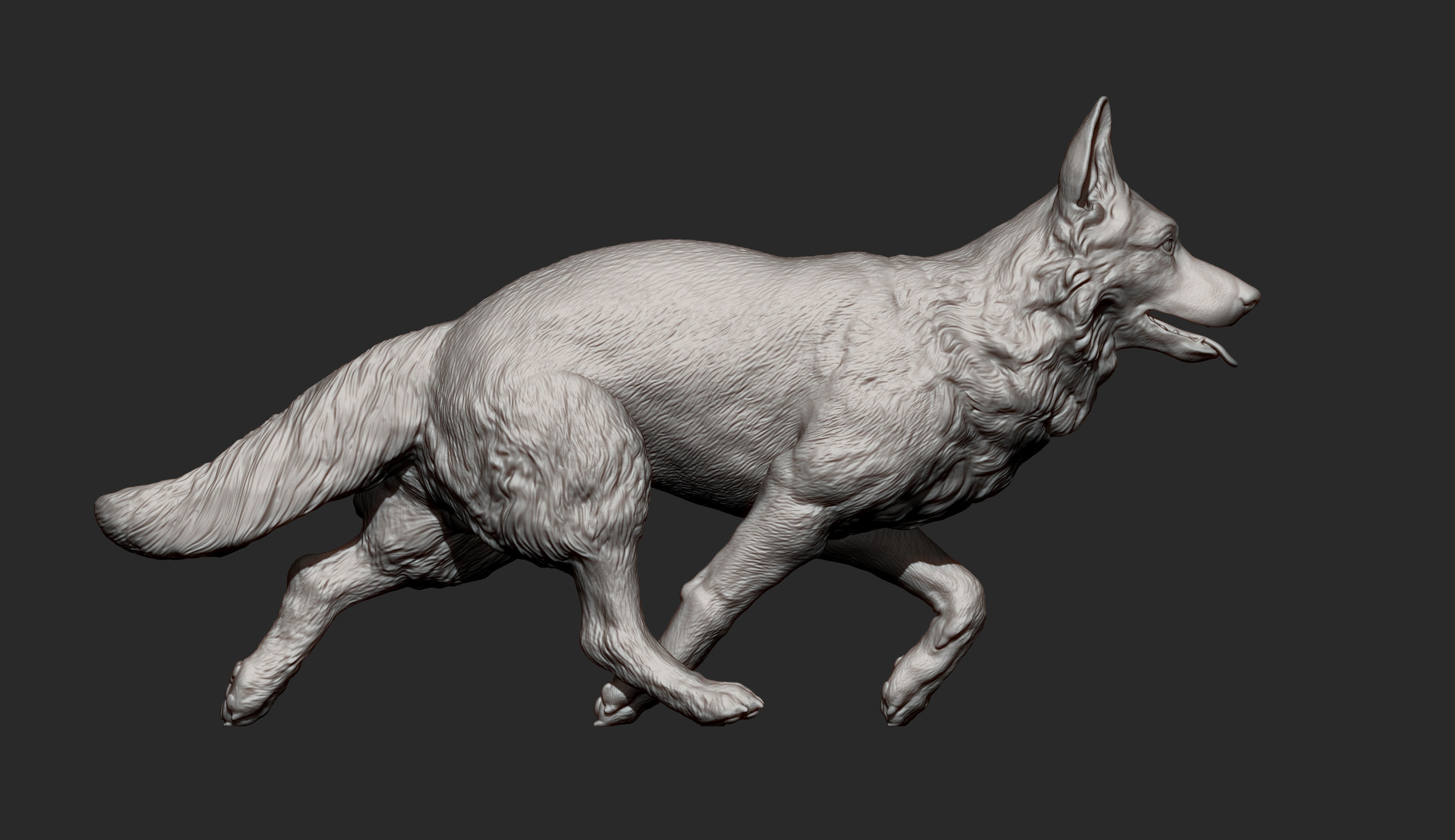 German Shepherd 3D print model_13