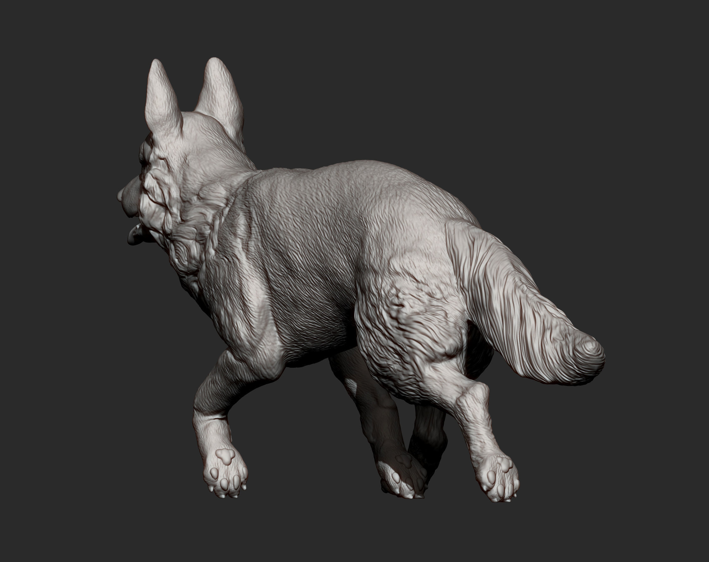 German Shepherd 3D print model_8