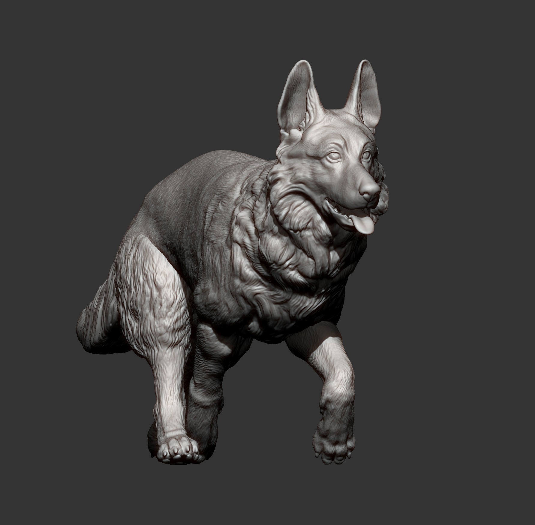 German Shepherd 3D print model_7