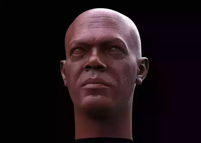 Mace Windu-Samuel L Jackson- Head 3D print model