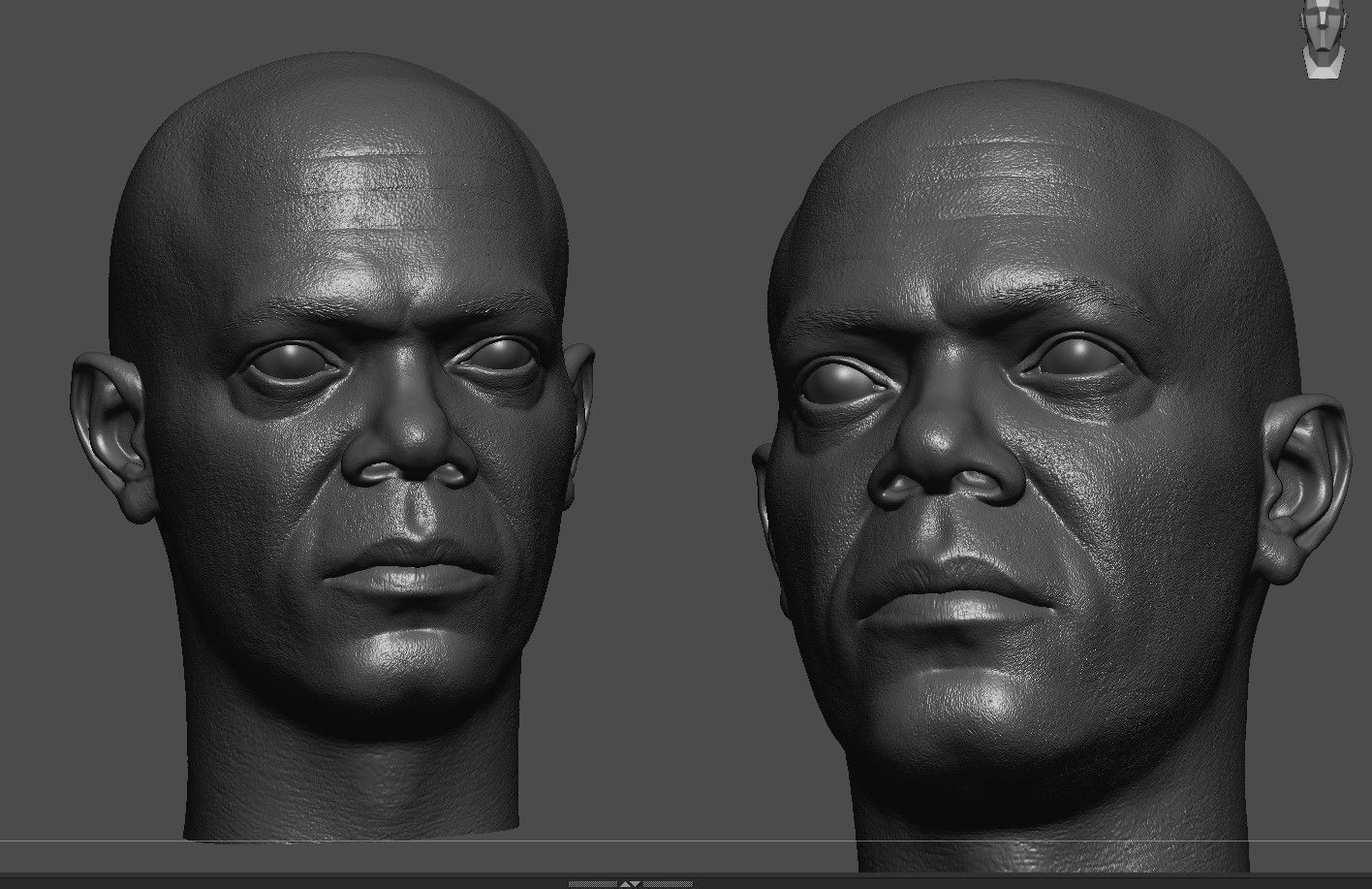 Mace Windu-Samuel L Jackson- Head 3D print model_5