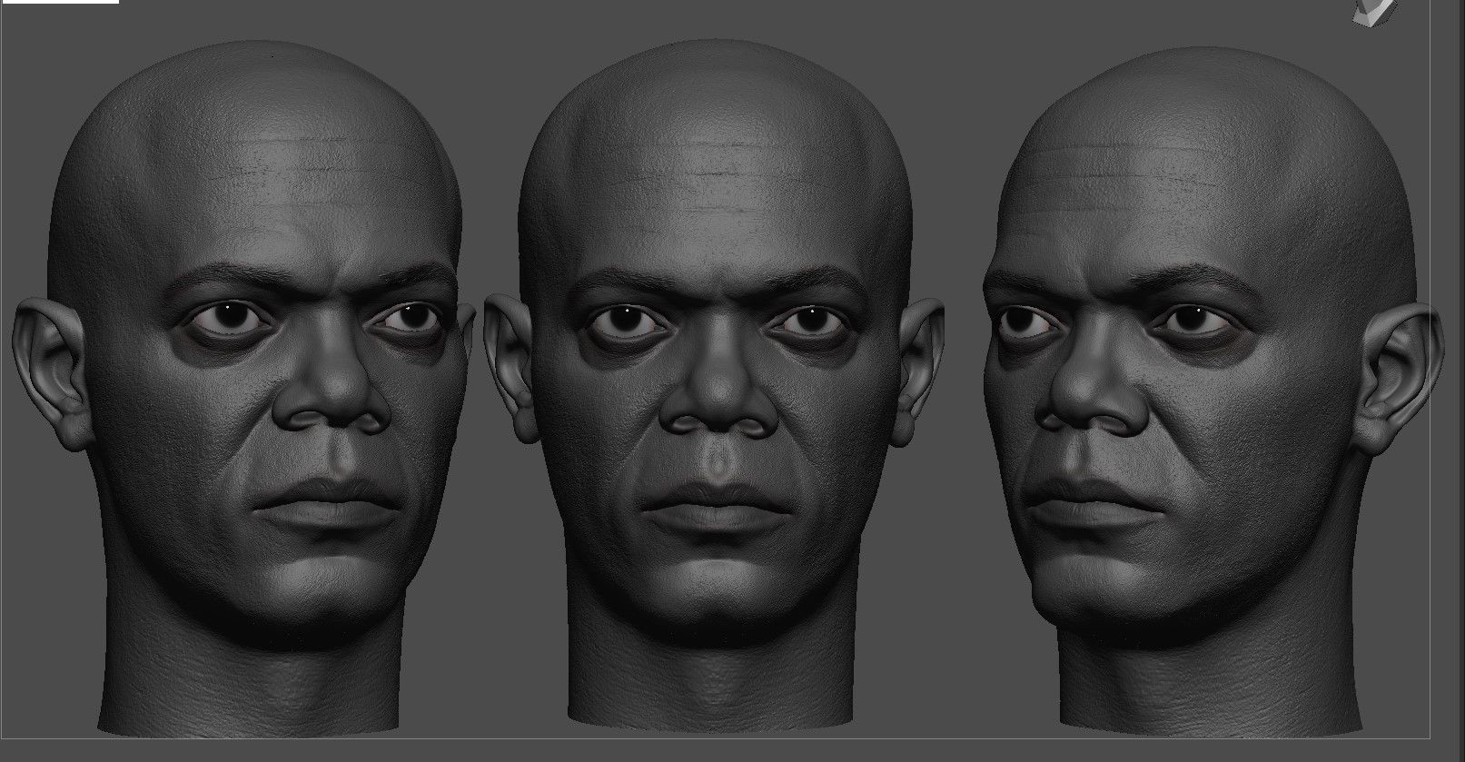 Mace Windu-Samuel L Jackson- Head 3D print model_1