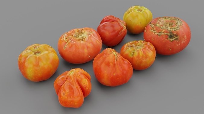 Tomatoes collection high-poly in mesh basket 3D model 4