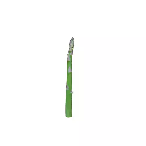 Whole Asparagus 3D Print File 3D print model