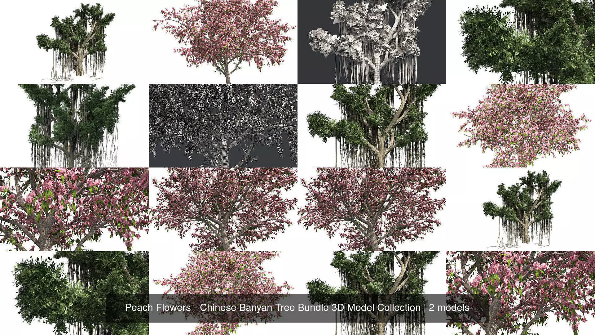 Peach Flowers - Chinese Banyan Tree Bundle 3D Model Collection _1
