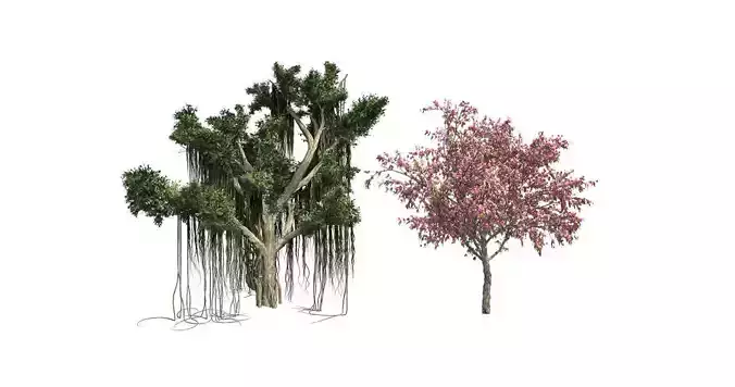 Peach Flowers - Chinese Banyan Tree Bundle 3D Model Collection 