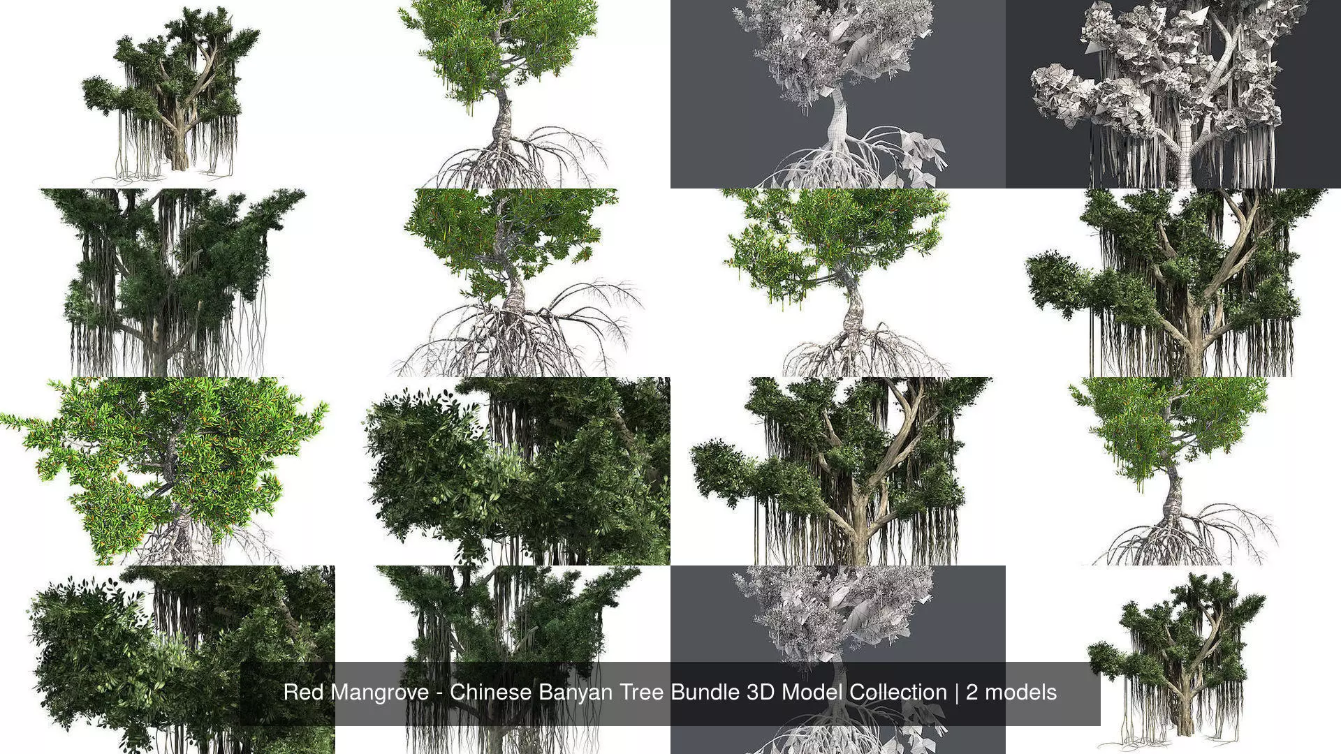 Red Mangrove - Chinese Banyan Tree Bundle 3D Model Collection _1