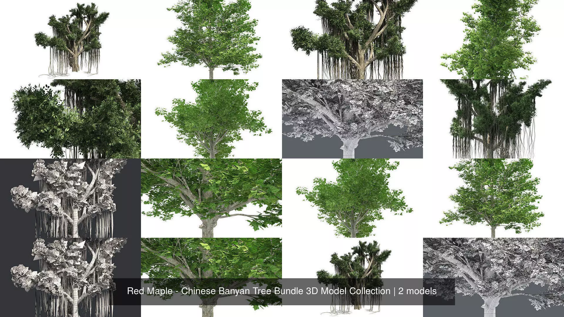 Red Maple - Chinese Banyan Tree Bundle 3D Model Collection _1