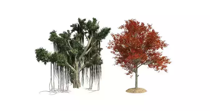 Red Maple Fall  - Chinese Banyan Tree Bundle 3D Model Collection 