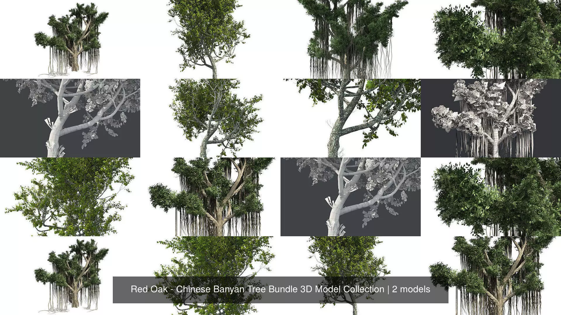 Red Oak - Chinese Banyan Tree Bundle 3D Model Collection _1