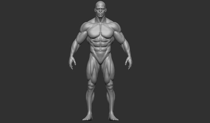 bodybuilder 3D print model male body 3D print model