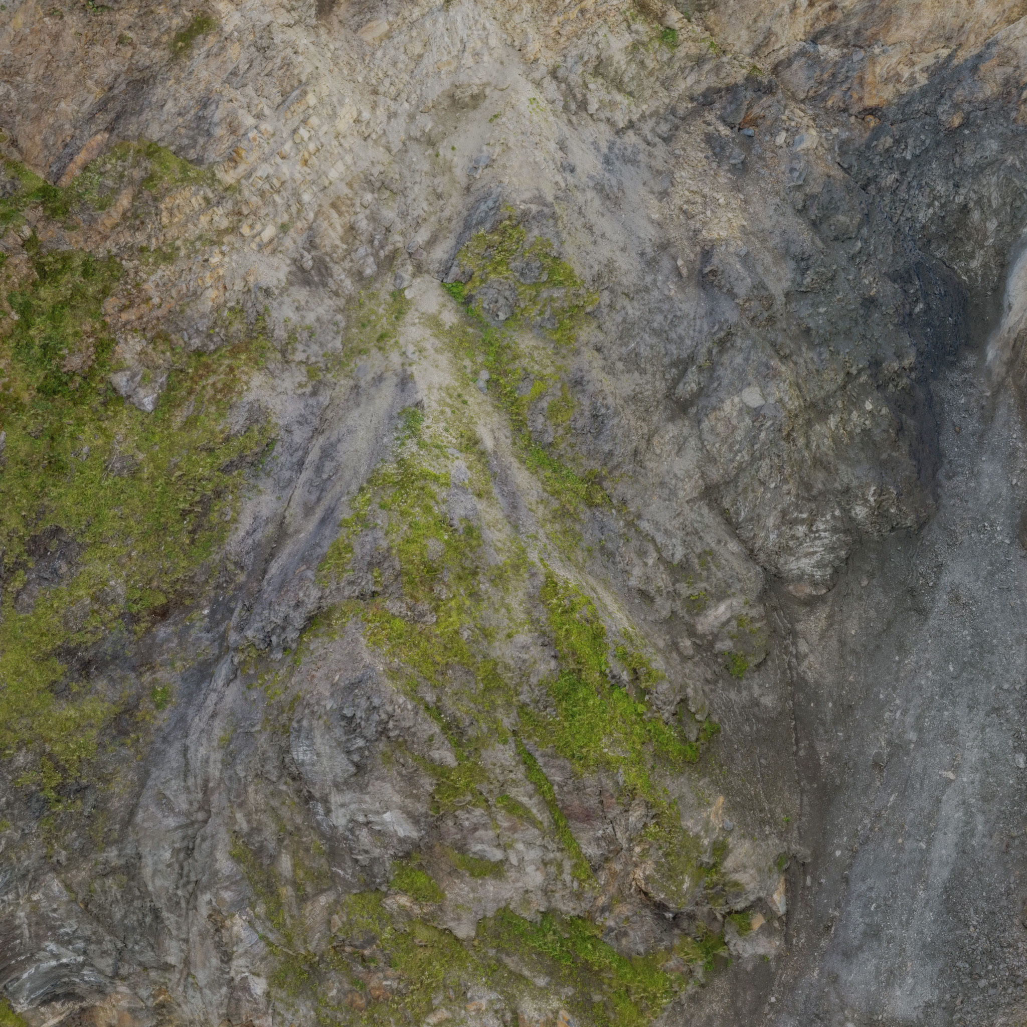 Large Coast Cliff PBR Scan 03 Low-poly 3D model_15