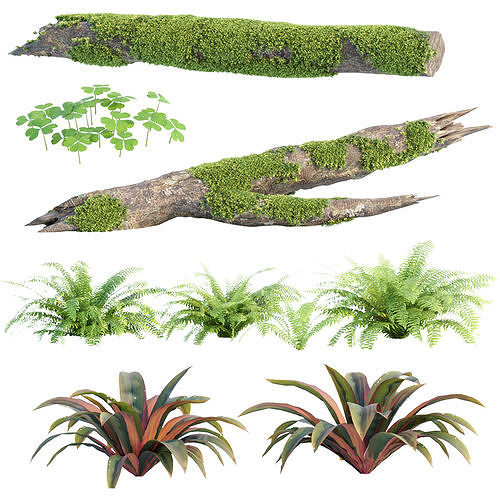 Mossy Garden Asset collection vol 156 3D model 5