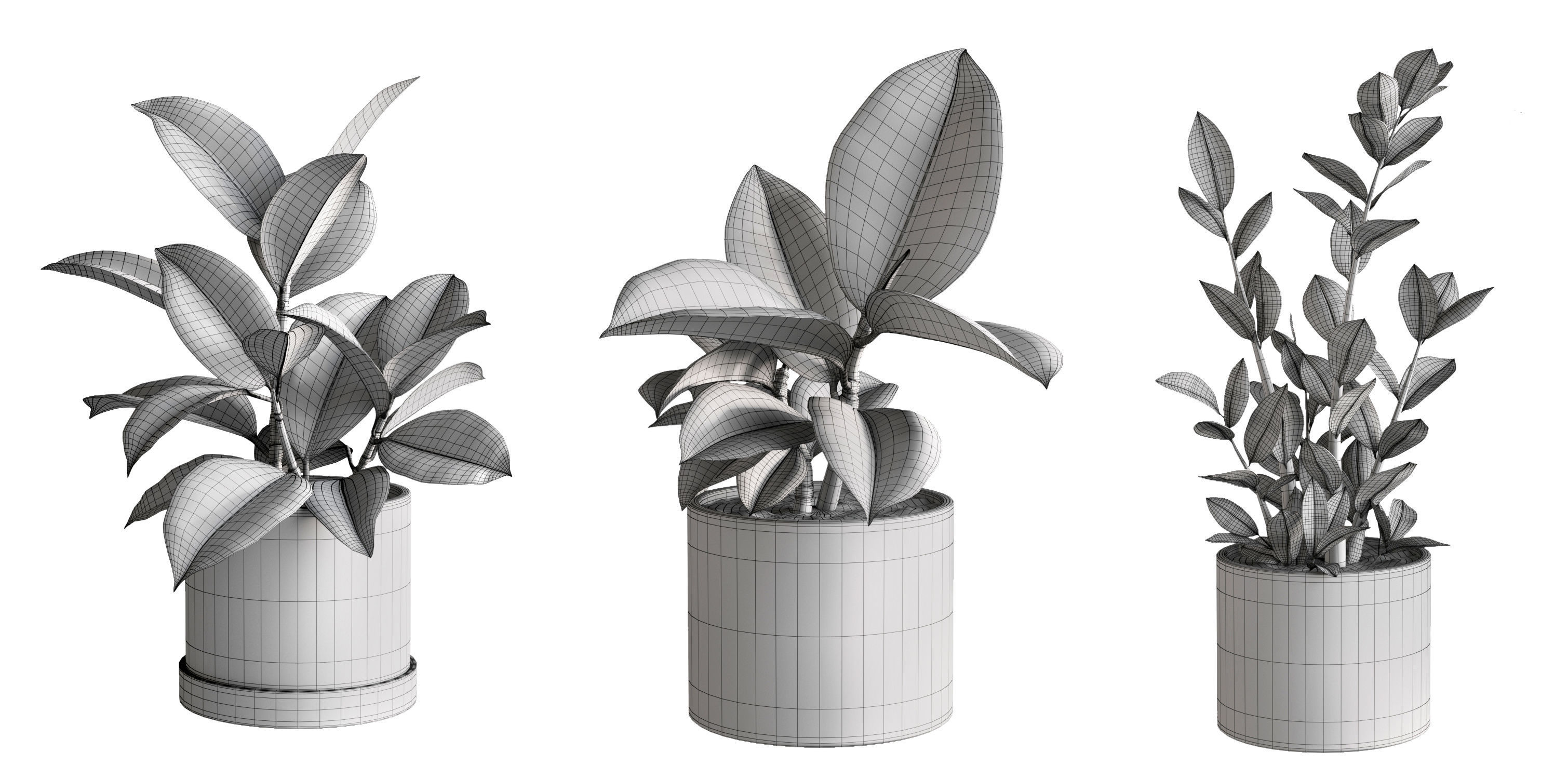 Plant Set 1 3D model eucalyptus in pot 3D model_10