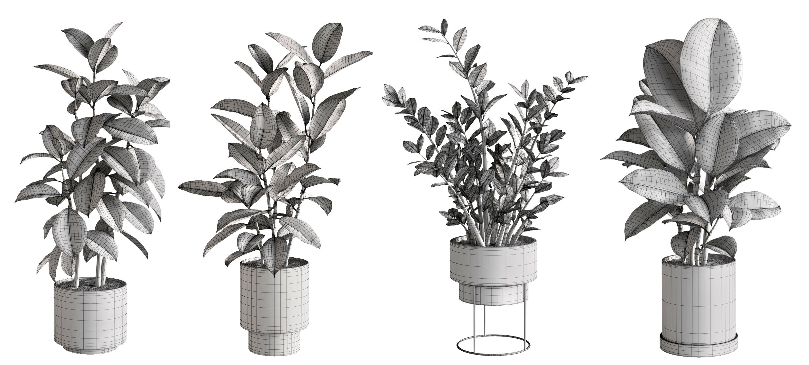 Plant Set 1 3D model eucalyptus in pot 3D model_9
