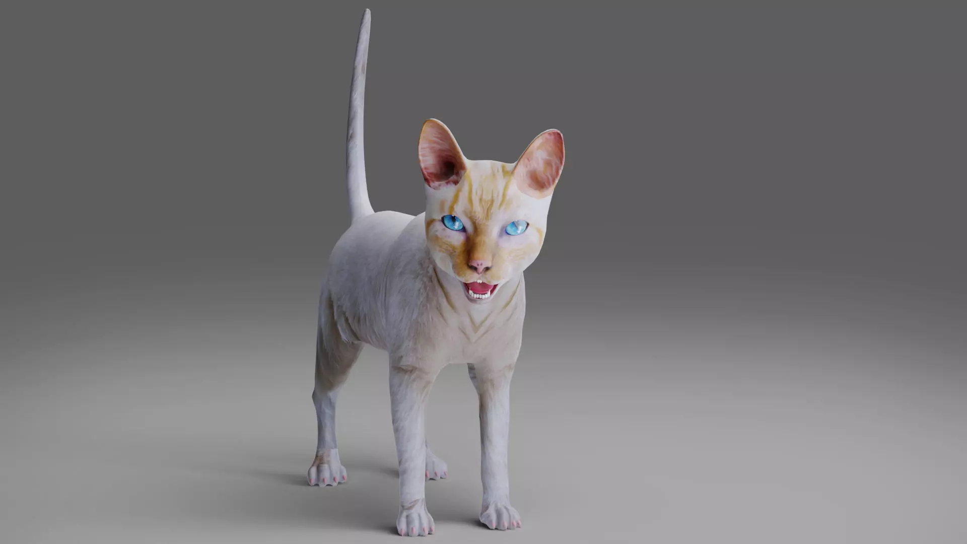 Cat White Rigged and Animated Low-poly 3D model